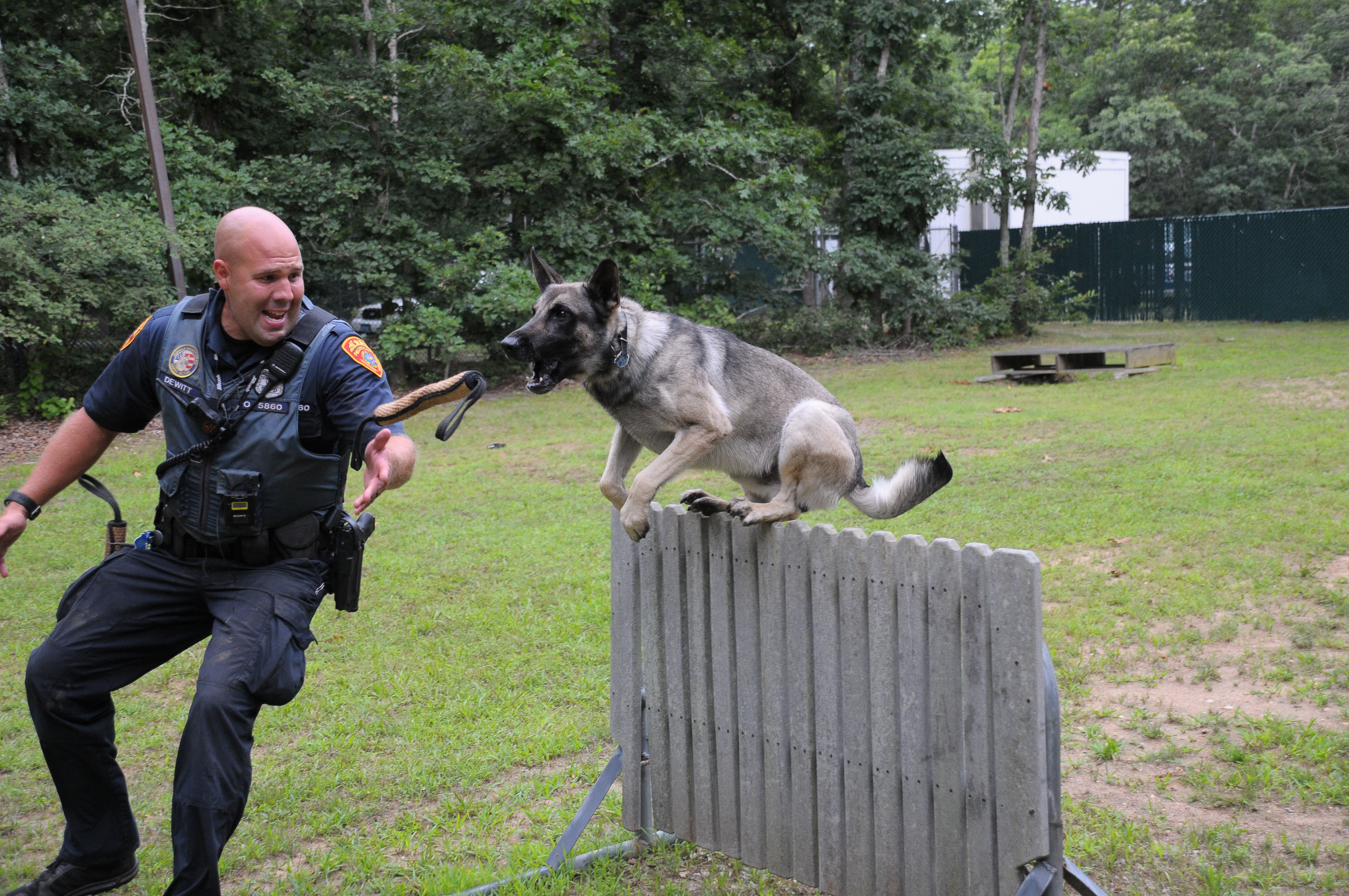 a police officer training a canine on an obstacle course